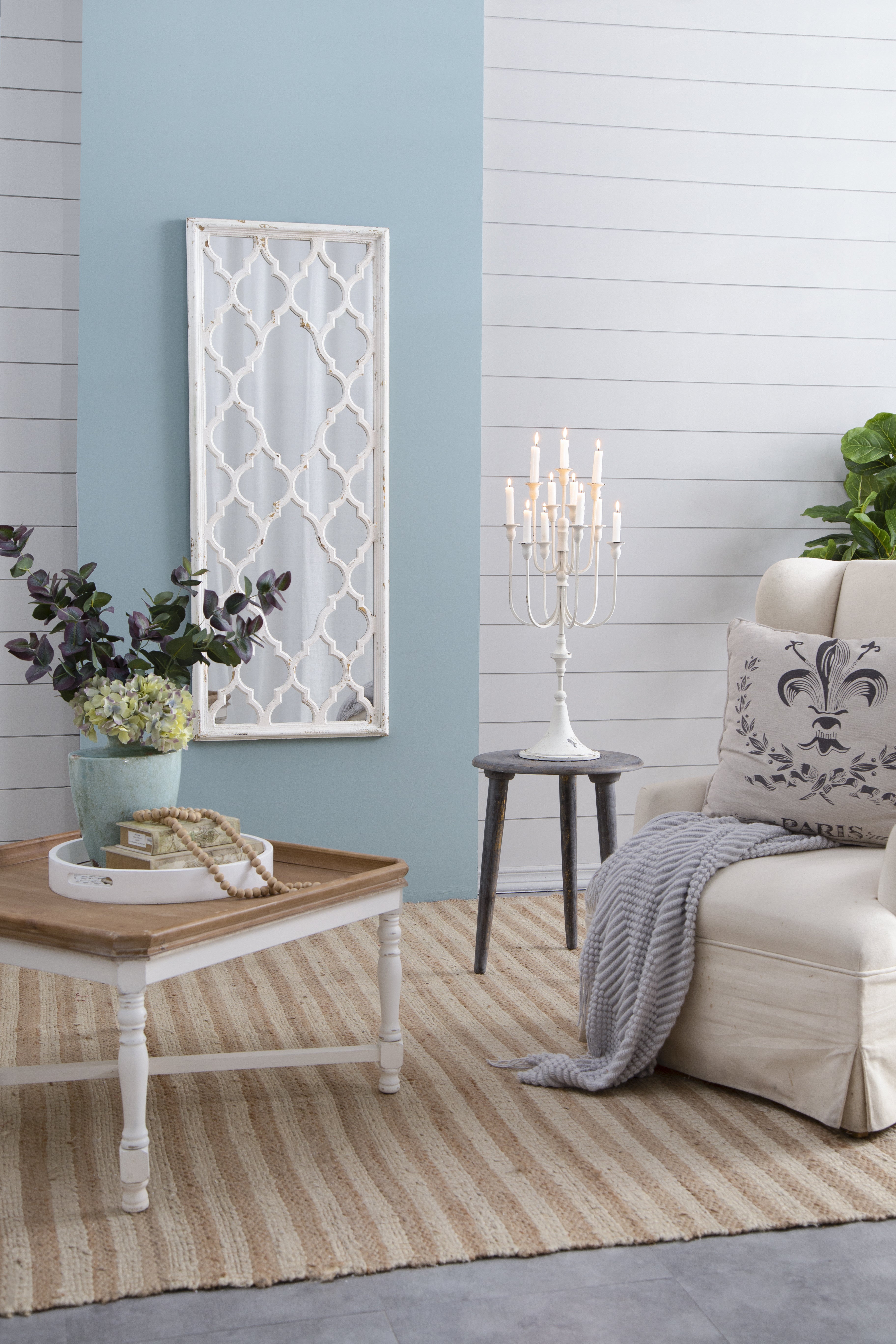 24" x 60" Distressed White Floor Mirror, Full Body Mirror for Bathroom Bedroom Living Room