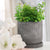 6" LINE PATTERN PLANTER W/ SAUCER, GRAY