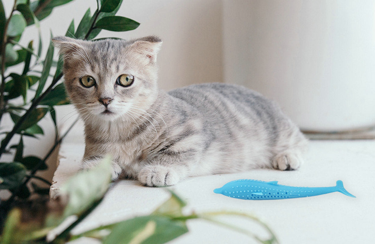 Cat Toothbrush Fish Shape with Catnip Pet Eco-Friendly Silicone Molar Stick Teeth Cleaning Toy for Cats - WoodPoly.com