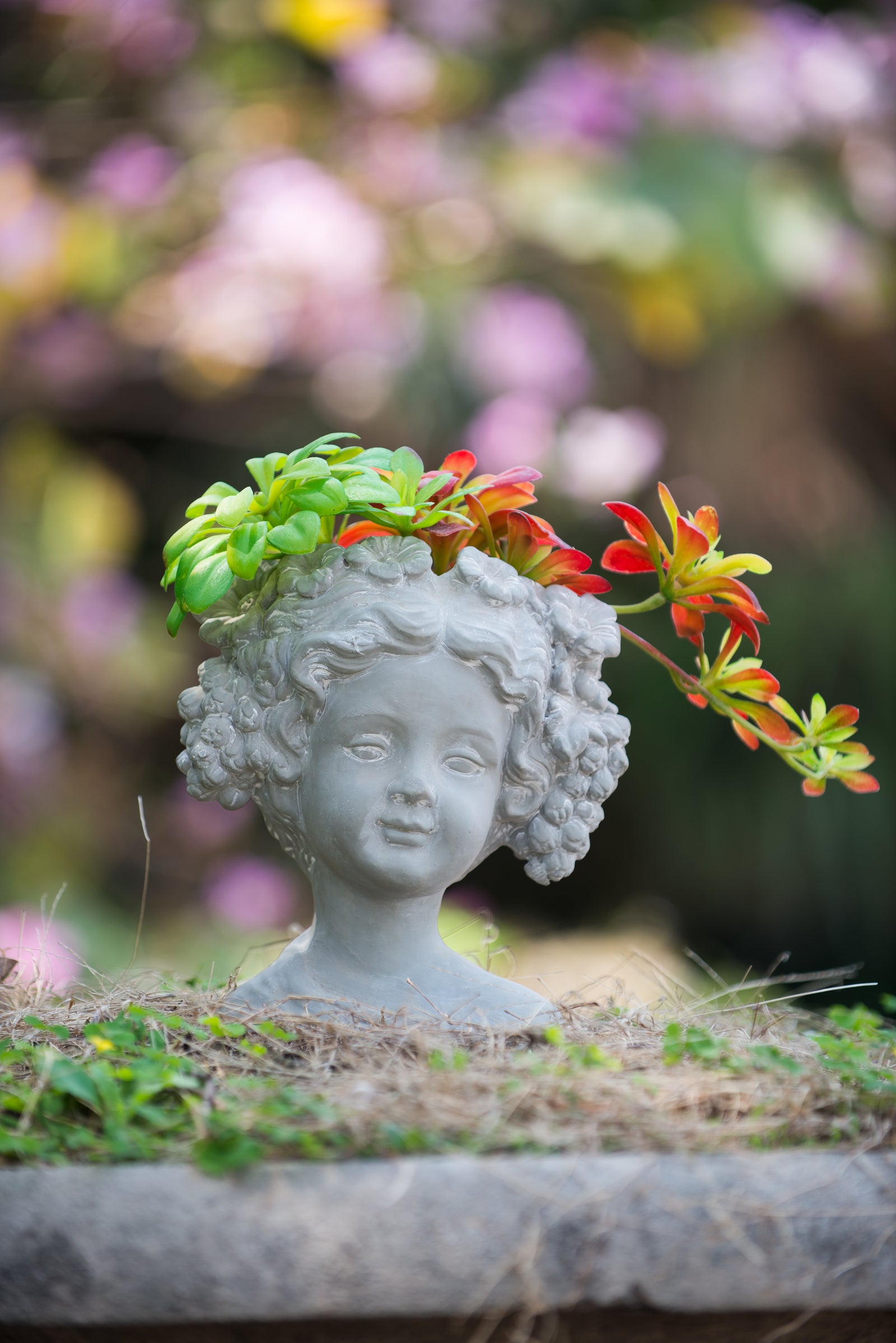 Cement Bust Wall Planter - Indoor Outdoor Home Garden Decor, 8