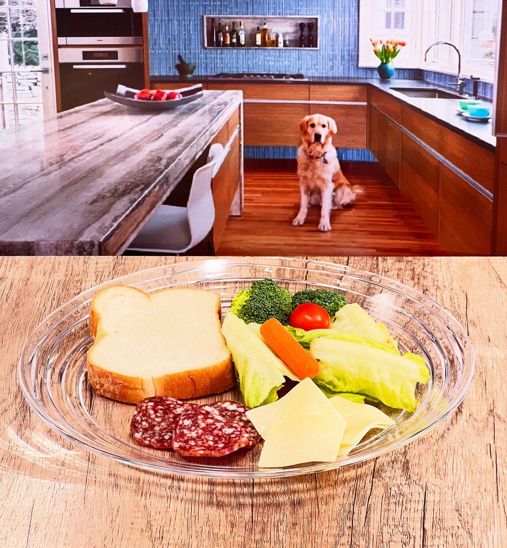 Designer Swirl 12" Acrylic Dinner Plates Set of 4, Crystal Clear Plastic Plates Reusable, Unbreakable Kitchen Plates for All Occasions BPA Free Dishwasher Safe