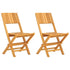 Folding Patio Chairs 2 pcs 18.5"x24"x35.4" Solid Wood Teak
