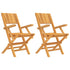Folding Patio Chairs 2 pcs 21.7"x24"x35.4" Solid Wood Teak