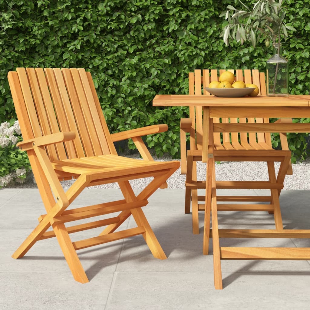 Folding Patio Chairs 2 pcs 24