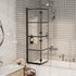 Folding Shower Enclosure ESG 31.5"x55.1" Black