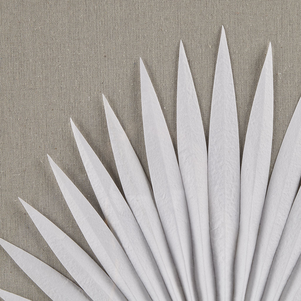 Framed Rice Paper Palm Leaves 3-piece Shadowbox Wall Decor Set