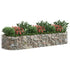 Gabion Raised Bed Galvanized Iron 118.1"x39.4"x19.7"