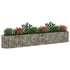 Gabion Raised Bed Galvanized Iron 129.9"x19.7"x19.7"