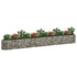 Gabion Raised Bed Galvanized Iron 185"x19.7"x19.7"