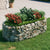 Gabion Raised Bed Galvanized Iron 78.7"x39.4"x19.7"