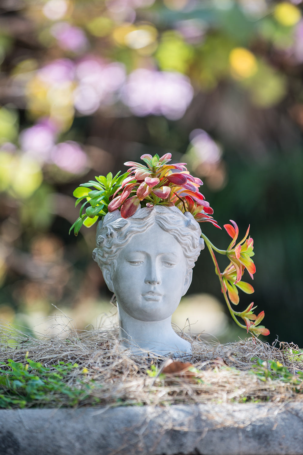 Greek Style Cement Head Planter - Indoor Outdoor Home Garden Decor, D6
