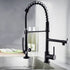 Kitchen Faucet with Pull Down Sprayer one-Hole Gooseneck Kitchen Sink Faucet 2 Handle