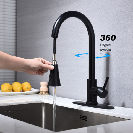 Kitchen Faucet with Pull Out Spraye