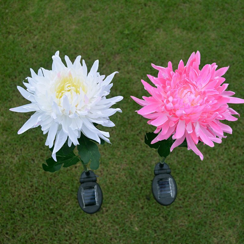 LED Chrysanthemum Flower Stake Light Solar Energy Rechargeable for Outdoor Garden - WoodPoly.com