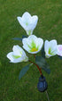 LED Magnolia Flower Stake Light Solar Energy Rechargeable for Outdoor Garden - WoodPoly.com