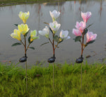 LED Magnolia Flower Stake Light Solar Energy Rechargeable for Outdoor Garden - WoodPoly.com