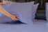 Luxurious Viscose from 100% Bamboo 2-Piece Pillowcase Set , Oeko-TEX Certified, King - Amethyst