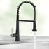 New Kitchen Single Handle pull-out faucet, stainless steel kitchen faucet with pull-out sprayer in Black
