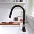 New Kitchen Single Handle pull-out faucet, stainless steel kitchen faucet with pull-out sprayer in Black