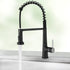 New Kitchen Single Handle pull-out faucet, stainless steel kitchen faucet with pull-out sprayer in Black