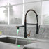 New Single Handle LED kitchen faucet with pull-down kitchen faucet in Black