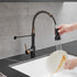 New Single Handle Pull-Down Sprayer LED Kitchen Faucet