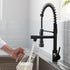 New Standard Single Handle kitchen faucet with pull-down kitchen faucet in Brushed Nickel
