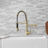 New Standard Single Handle kitchen faucet with pull-down kitchen faucet in Brushed Nickel