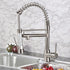New Standard Single Handle kitchen faucet with pull-down kitchen faucet in Brushed Nickel