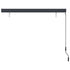 Outdoor Roller Blind 63"x98.4" Anthracite - WoodPoly.com