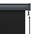Outdoor Roller Blind 63"x98.4" Anthracite - WoodPoly.com