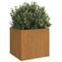 Planters 2 pcs 19.3"x18.5"x18.1" Corten Steel