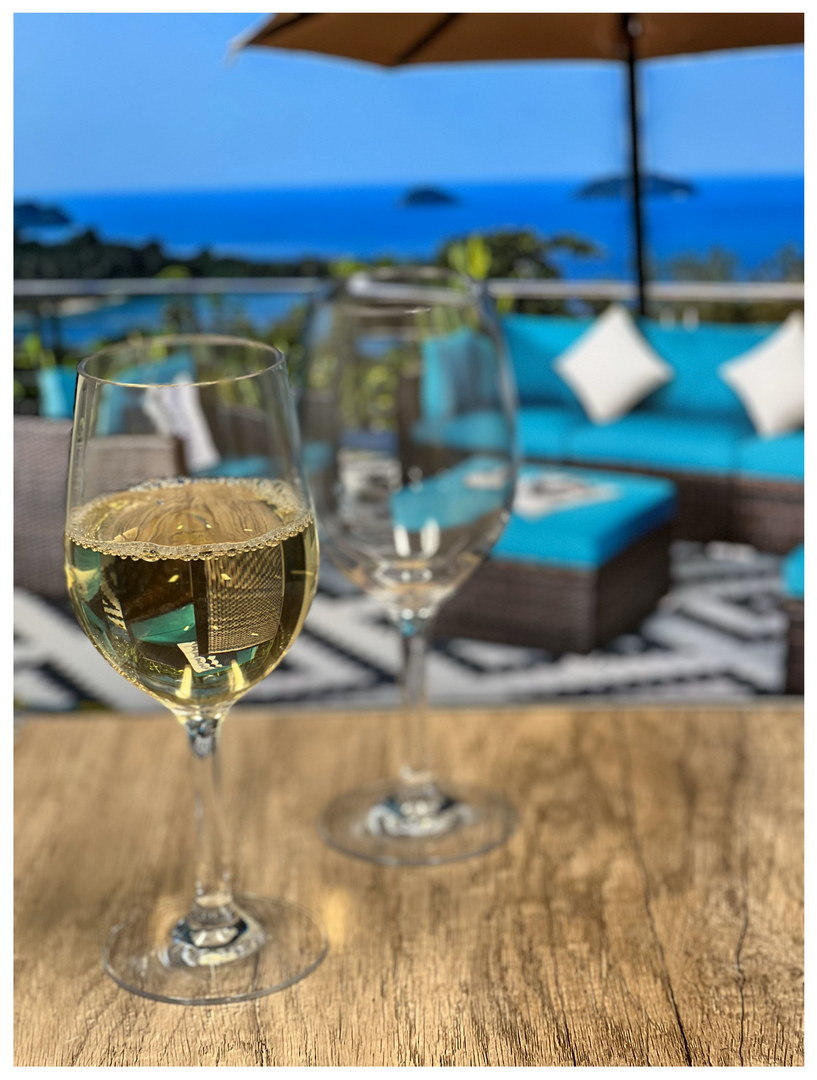 Plastic Wine Glasses Set of 4 (12oz), BPA Free Tritan Wine Glass Set, Unbreakable Red Wine Glasses, White Wine Glasses