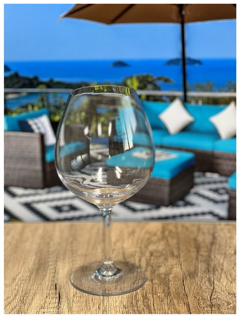 Plastic Wine Glasses Set of 4 (23oz), BPA Free Tritan Wine Glass Set, Unbreakable Red Wine Glasses, White Wine Glasses