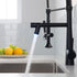 Pull Down Kitchen LED Sink Faucet with Sprayer