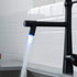 Pull Down Kitchen LED Sink Faucet with Sprayer