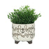 S/2 CERAMIC 6/8" SCRIBBLE FOOTED PLANTER, BEIGE