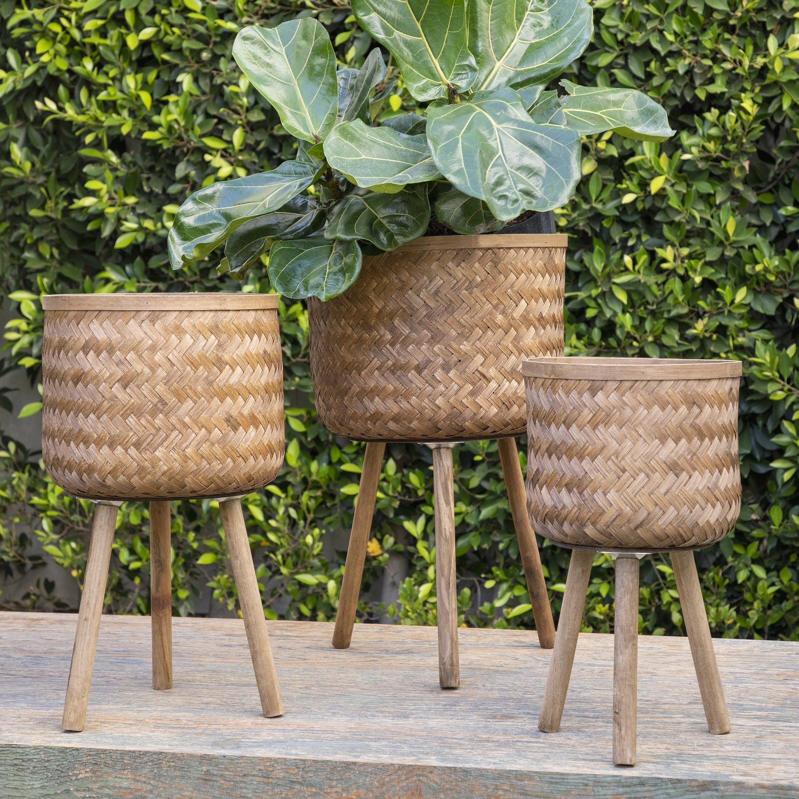 S/3 BAMBOO PLANTERS 11/13/15