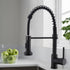 Single Handle Pull-Down Sprayer Kitchen Faucet