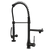 Single Handle Standard Pull Down Kitchen Faucet  Spray in Black
