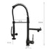 Single Handle Standard Pull Down Kitchen Faucet  Spray in Black