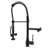 Single Handle Standard Pull Down Kitchen Faucet  Spray in Black