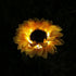 Sunflower Garden Solar Light Decoration for Outdoor Backyard Patio Porch 26 Inches - WoodPoly.com
