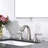 Widespread Bathroom Sink Faucets Two Handle 3 Hole Vanity Bath Faucet with Drain Assembly (Brushed Nickel)